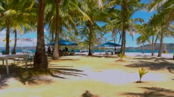 Isla tropical rodeada de palmeras en Palawan, Filipinas — Vídeos de Stock