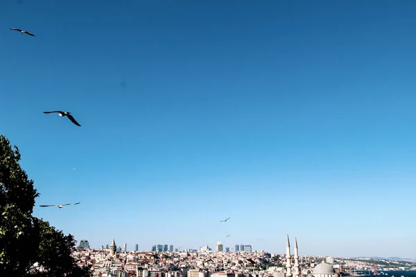Силуэт Галатской Башни Купола Мечети Пейзажем Босфора Городе Стамбул Золотой — стоковое фото