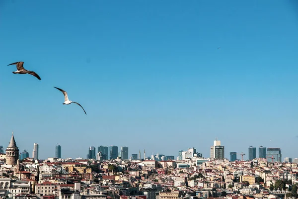 Torre Galata Silueta Cúpula Mezquita Con Paisaje Del Bósforo Cuerno —  Fotos de Stock