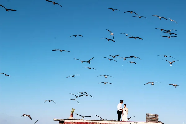 Lovely Couple Hugging Roof Seagull Background Bosphorus — Stock Photo, Image