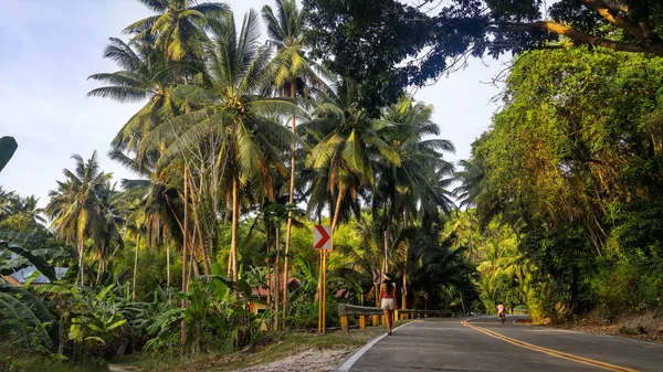 Mujer Caminando Sola Camino Vacío Con Muchas Palmeras Isla Cebú — Foto de Stock