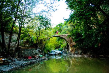 Türkiye 'nin Balikesir ilçesinin Edremit ilçesine bağlı Kaz Dağı, Kaz Daglari, Ida Dağı' nda göl ve nehir bulunan Milli Park 'ta yeşil yaşam alanı