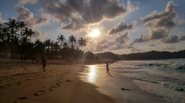 Sayulita plajı, Meksika 'daki Sayulita' da palmiye ağaçları ile güzel bir gün batımı..