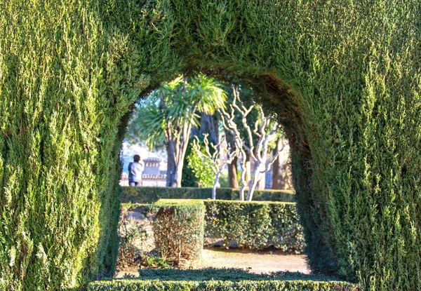 Palacio Alhambra Granada Tiene Hermosos Jardines Árboles España —  Fotos de Stock