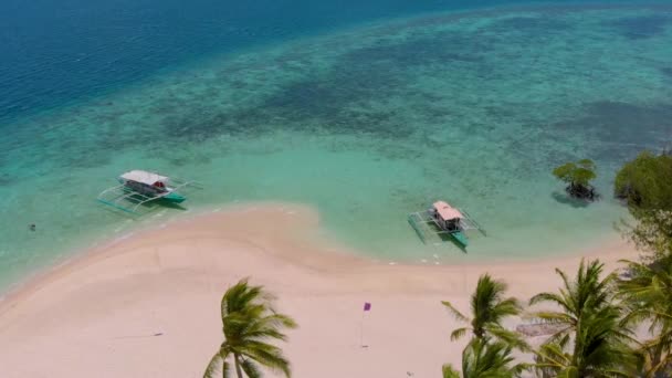 パス島 コロン フィリピンのパラワンのヤシの木やボートと砂州だけで素敵な旅行カップルの空中ビュー 小さな熱帯島 — ストック動画