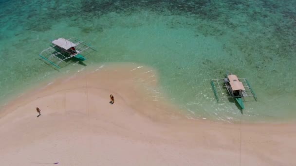 パス島 コロン フィリピンのパラワンのヤシの木やボートと砂州だけで素敵な旅行カップルの空中ビュー 小さな熱帯島 — ストック動画