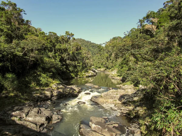 Grüner Natürlicher Lebensraum Fluss Tsiribihina Madagaskar — Stockfoto