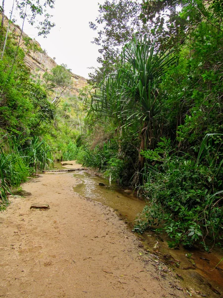 Płynąca Woda Naturalny Basen Parku Narodowym Isalo Madagaskarze — Zdjęcie stockowe