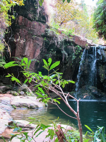 Płynąca Woda Naturalny Basen Parku Narodowym Isalo Madagaskarze — Zdjęcie stockowe