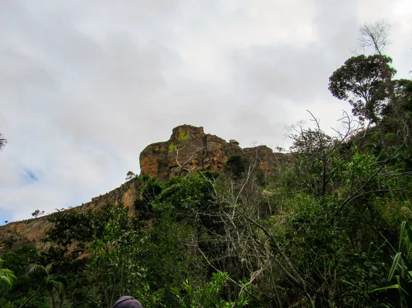 Regenwald Des Ransomafana Nationalparks Östlichen Madagaskar Viele Bäume Und Grüne — Stockfoto