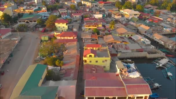 Gyűrűfarkú Maki Catta Madagaszkári Természetes Élőhelyén Faágon — Stock videók
