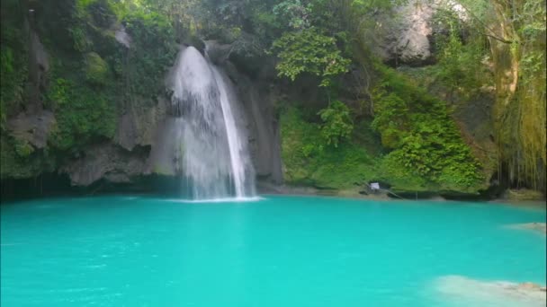 Kawasan Falls Ostrově Cebu Filipínách Krásný Vodopád Tropickém Deštném Pralesu — Stock video