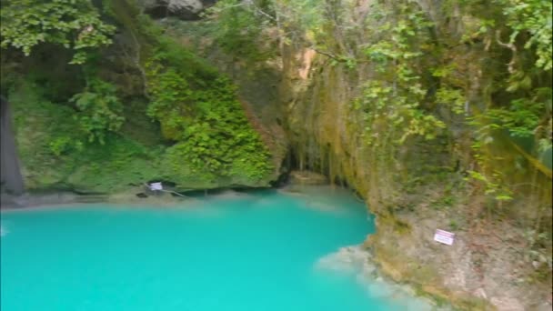 Kawasan Falls Cebu Island Philippines Beautiful Waterfall Tropical Rain Forest — Stock Video