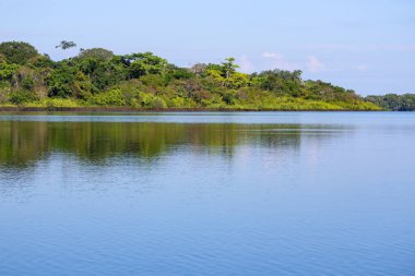Vahşi Amazon Nehri 'nde yerel tekne turu Rio Negro, Leticia, Kolombiya