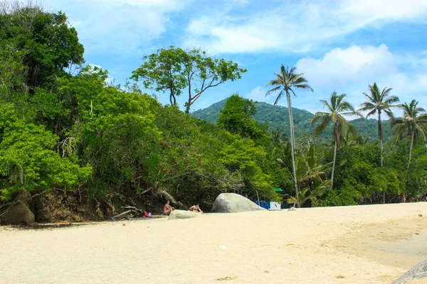 Caribbean Sea White Sand Beach Surrounded Tropical Forest Tayrona National — Stock Photo, Image