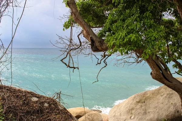 Caribische Zee Met Wit Zandstrand Omgeven Door Tropisch Bos Het — Stockfoto