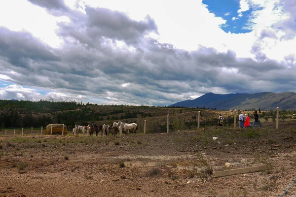 Grüne Wilde Natur Von Pozos Azules Blaue Brunnen Villa Leyva — Stockfoto