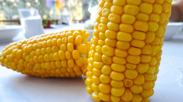 Домашний Золотисто Сладкий Кукурузный Початок Готовый Белом Столе Желтые Кукурузные — стоковое фото
