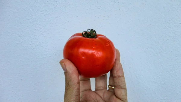 Tomate Orgânico Vermelho Único Tomates Vermelhos Fundo Branco — Fotografia de Stock