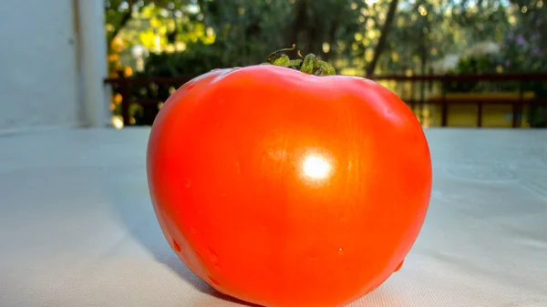 Tomat Organik Merah Tunggal Dan Tomat Merah Pada Latar Belakang — Stok Foto