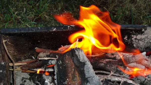 Brasero Carbón Caliente Listo Para Cocinar Carne Aire Libre Fotos De Stock Sin Royalties Gratis