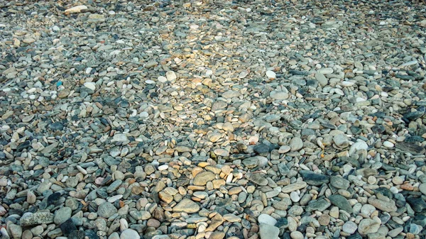 Steiniger Strand Einem Sonnigen Tag Hintergrund Verschiedener Kieselsteine Von Oben — Stockfoto