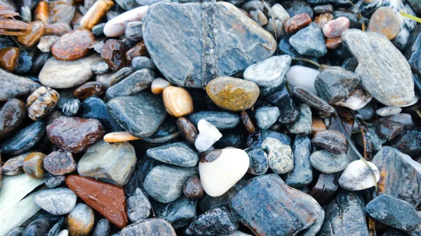 Steiniger Strand Einem Sonnigen Tag Hintergrund Verschiedener Kieselsteine Von Oben — Stockfoto