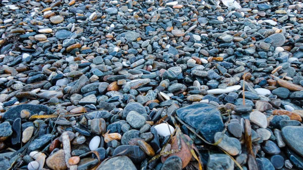 Steiniger Strand Einem Sonnigen Tag Hintergrund Verschiedener Kieselsteine Von Oben — Stockfoto