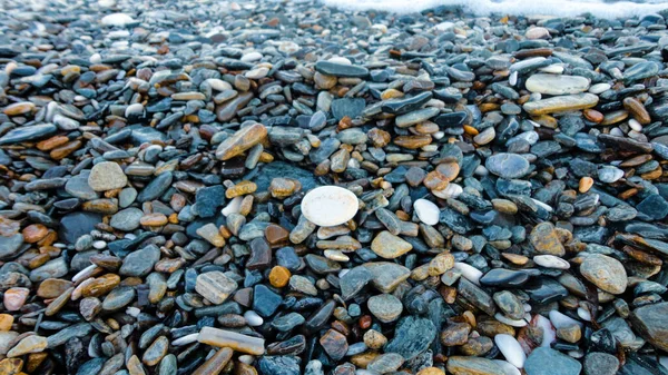 Steenstrand Een Zonnige Dag Achtergrond Van Verschillende Steentjes Van Bovenaf — Stockfoto