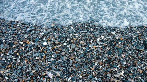 Stony Παραλία Μια Ηλιόλουστη Μέρα Ιστορικό Από Διαφορετικά Βότσαλα Από — Φωτογραφία Αρχείου