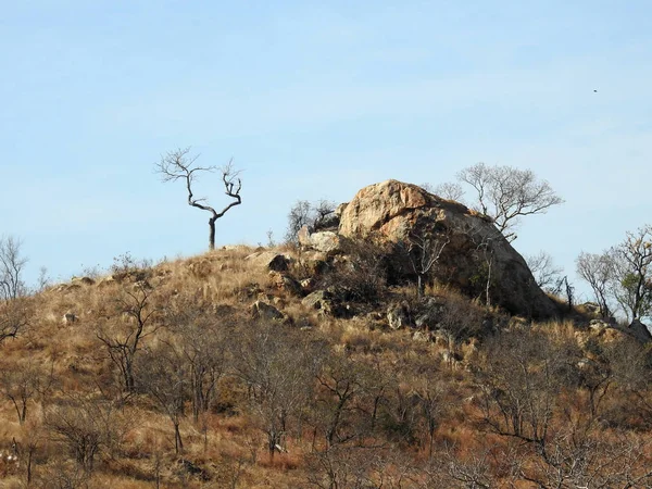 Вершина Горы Национальном Парке Южной Африки — стоковое фото