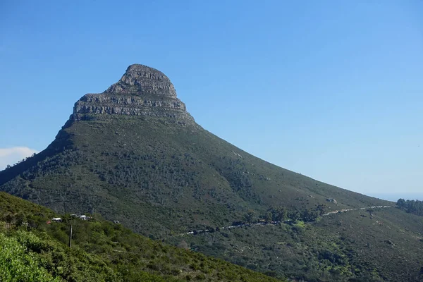 Löwen Führen Kapstadt Berg — Stockfoto