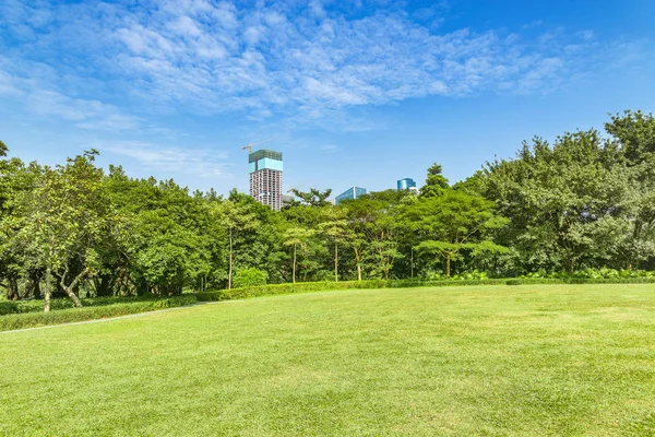 View of the lawn in the city park. Shenzhen. China