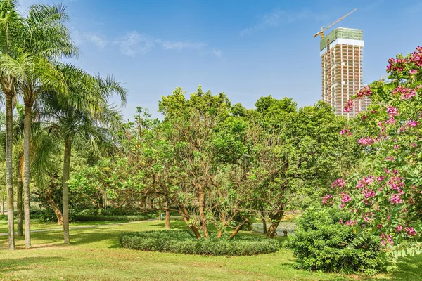 Şehir Parkı Görünümünü Shenzhen Çin — Stok fotoğraf