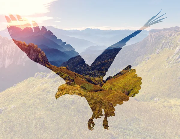 Weißkopfseeadler Auf Berglandschaft Hintergrund Illustration Der Doppelbelichtung — Stockfoto