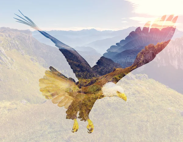Águila Calva Sobre Fondo Paisaje Montaña Ilustración Doble Exposición —  Fotos de Stock