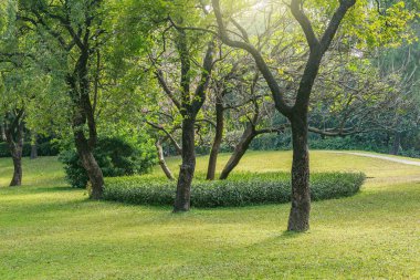Gün zaman Şehir Parkı görünümünü. Shenzhen. Çin.