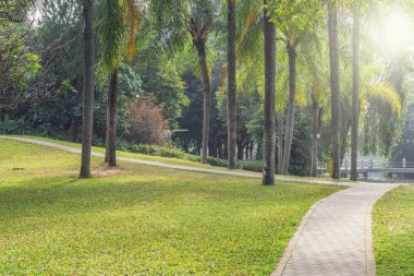 Şehir Parkı taş yolu. Shenzhen. Çin.