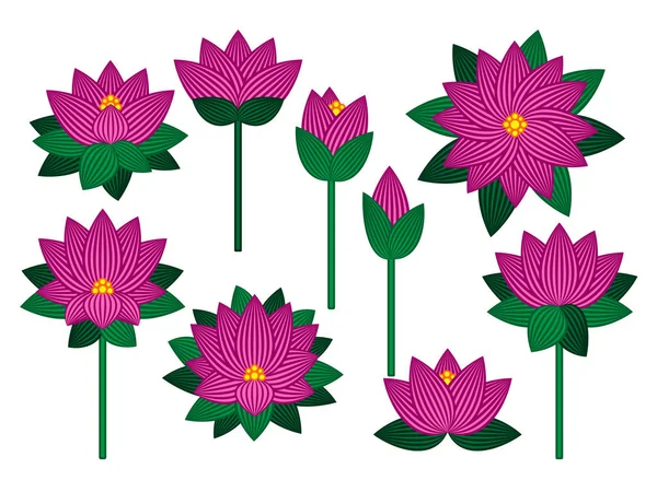 Conjunto Flores Loto Aisladas Sobre Fondo Blanco Ilustración Vectorial — Vector de stock