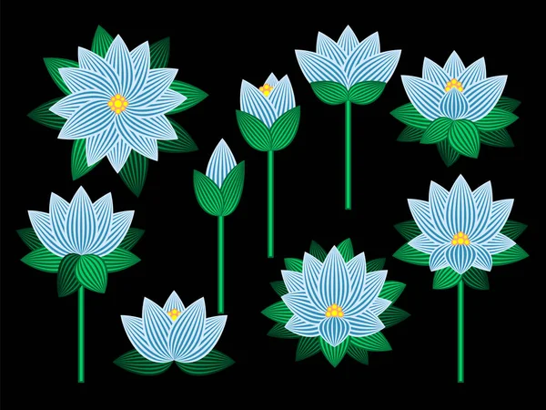 Conjunto Flores Loto Aisladas Sobre Fondo Negro Ilustración Vectorial — Vector de stock