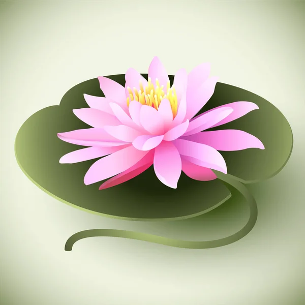 Lotus Çiçeği Renkli Arka Plan Üzerinde Yaprak Üzerinde Vektör Çizim — Stok Vektör