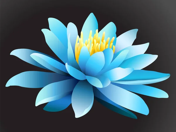 Fleur Lotus Sur Fond Sombre Illustration Vectorielle — Image vectorielle