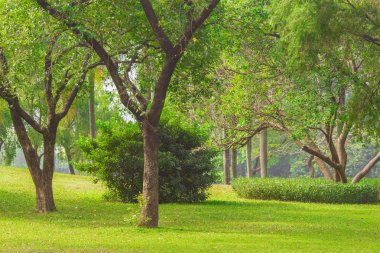 Gün zaman Şehir Parkı görünümünü. Shenzhen. Çin.
