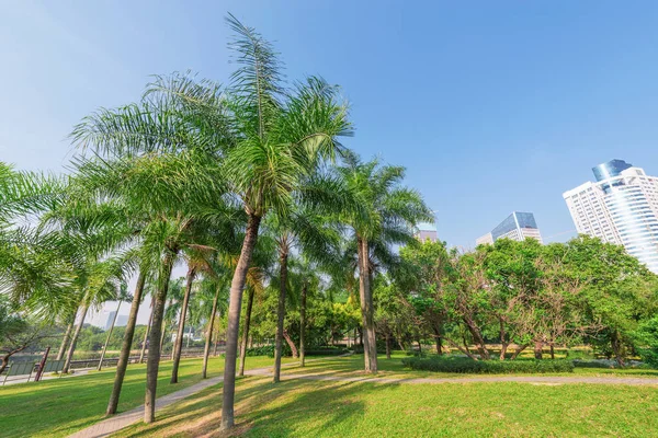 Vista Diurna Del Parque Ciudad Shenzhen China — Foto de Stock