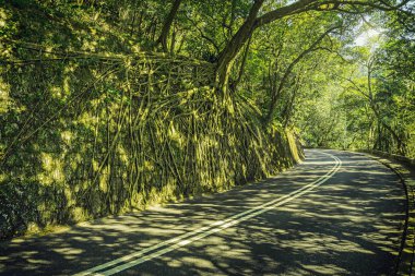Victoria Peak Road. Hong Kong Adası.