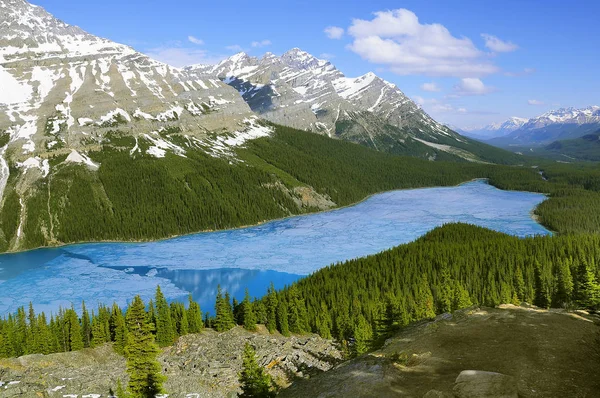 Wgląd Ranka Peyto Lake Canadian Rockies Banff National Park Alberta — Zdjęcie stockowe