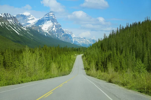 Δρόμο Για Icefield Κολούμπια Εθνικό Πάρκο Jasper Καναδάς — Φωτογραφία Αρχείου