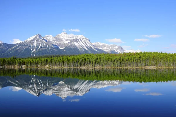 Ранним Утром Вид Озеро Герберт Канадских Скалистых Горах Национальный Парк — стоковое фото