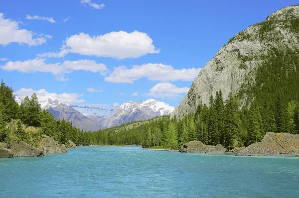 Bow Folyó Bamff Nemzeti Parkban Alberta Kanada — Stock Fotó