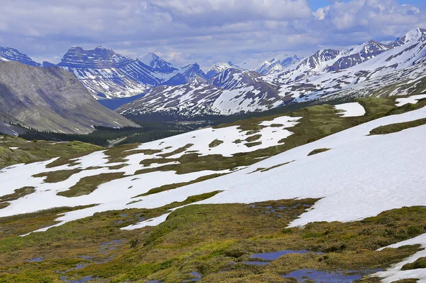 Jarní Mountain View Kanadských Skalistých Horách Alberta — Stock fotografie